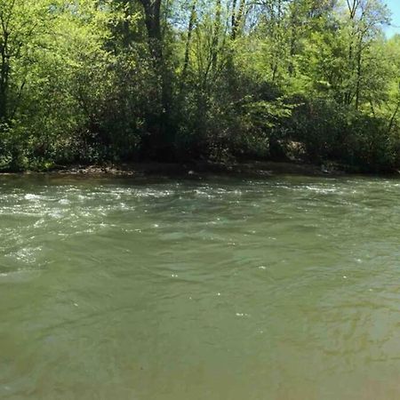 Cabin Fever On Cartecay River Ellijay Luaran gambar
