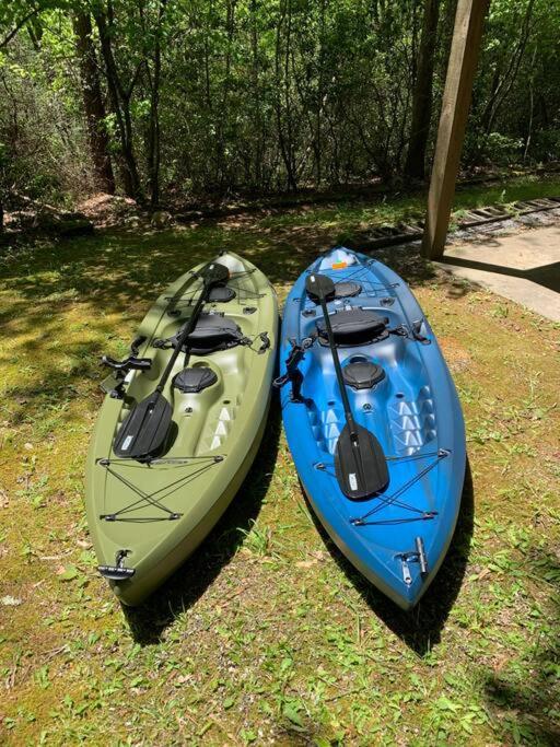 Cabin Fever On Cartecay River Ellijay Luaran gambar