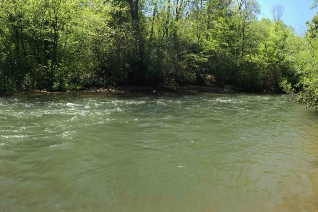 Cabin Fever On Cartecay River Ellijay Luaran gambar