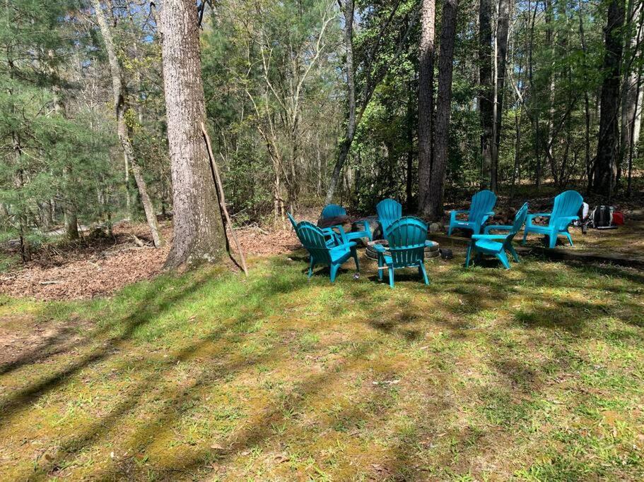 Cabin Fever On Cartecay River Ellijay Luaran gambar