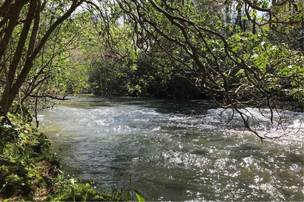 Cabin Fever On Cartecay River Ellijay Luaran gambar